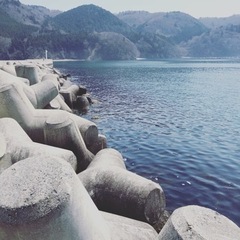黒鯛道〜狂黒会〜　仲間募集。 - メンバー募集