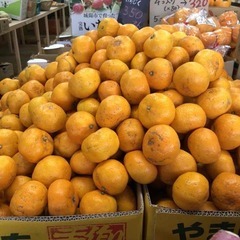 あの話題の八百屋ベンチャー企業 オープニングスタッフ大募集！！の画像