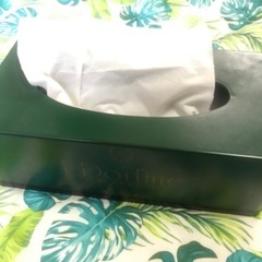 【ティッシュケース】