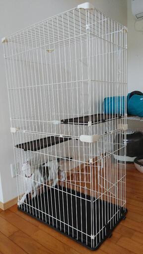 猫ケージ　
