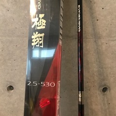 極翔　2.5ー530