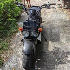 ホンダズーマー50cc