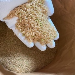 令和4年度　新米🌾なつほのか🌾山香米！玄米30キロ