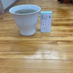 今だけ値下げ　陶器　鉢の画像