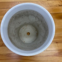 今だけ値下げ　陶器　鉢の画像