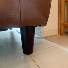 引き取り先決まりました。の画像