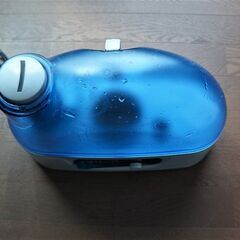 イオリ―霧の画像