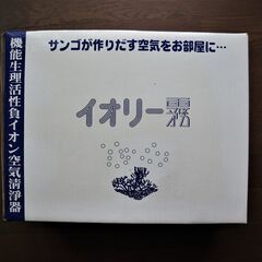 イオリ―霧の画像