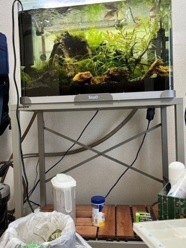 最終値下げ　水槽セット2