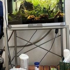 最終値下げ　水槽セット2