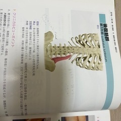 解剖学　カラーアトラスの画像
