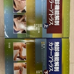 解剖学　カラーアトラス