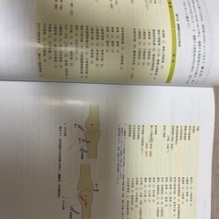 解剖学　カラーアトラスの画像