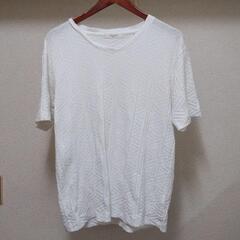 EDIFICE シルケット リンクス編み VネックTシャツの画像