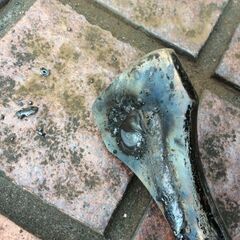 育良精機 ISK-LI160A ポータブルバッテリー溶接機【市川行徳店】【店頭取引限定】【中古】管理番号：ITVXSHEO324Q