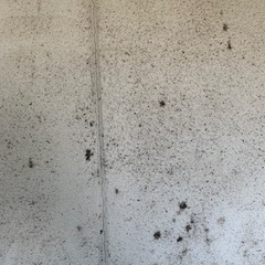 中々取れないカビ、汚れ清掃お任せくださいの画像