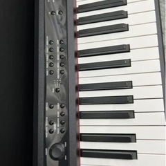 電子ピアノ KORG LP-380-RWBKの画像