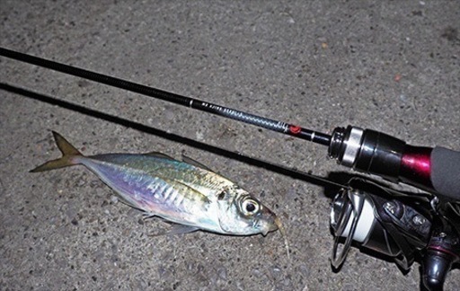 Daiwa 月下美人New MX　510UL-S 箱保証書あり!