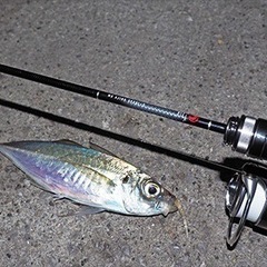 Daiwa 月下美人New MX　510UL-S 箱保証書あり!