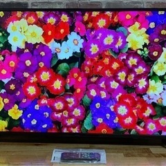 2019年製！43インチ 4K 液晶ディスプレイ LCD-M4K...
