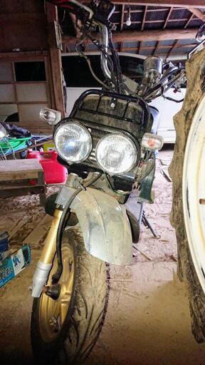 カスタム多数　ズーマー