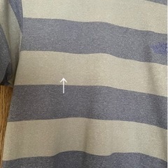 ノースフェイス　　レディースTシャツの画像