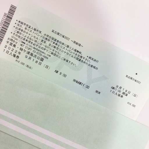 ９月18日(日) 氣志團万博　チケット　一日券　１枚or２枚