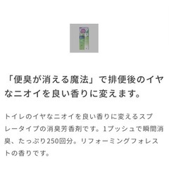 便臭が消えるスプレーの画像