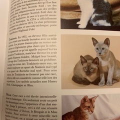 【お値下げ】新品フランス写真本  120種類の猫 解説 &手入れ法 の画像