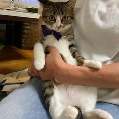5月生まれのスリちゃん