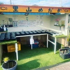 里山めだかの無人販売所　9/16 出店しております。