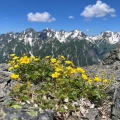 西三河同年代山友募集 − 愛知県