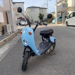 スズキのチョイノリ