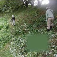 空いてる時間にお庭のお仕事しませんか？？　日給１万円！掛け持ちOK　未経験者・年齢不問　の画像