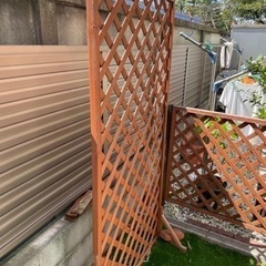 ラティスの画像