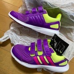 adidasの靴(終了)の画像