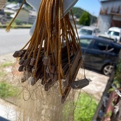 投網の画像