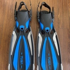 フィン