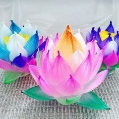 「秋の夜長に  蓮のランタンづくり」