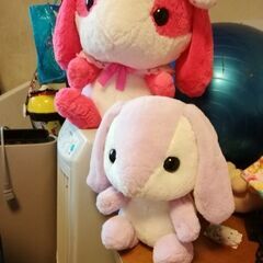 ポテウサロッピーの画像