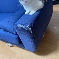 2人掛けソファの画像