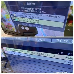 お薦め品‼️東芝 YouTube/Net Flix搭載32インチ 液晶テレビ2020年