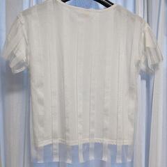 Tシャツ 2点 フリーサイズの画像