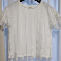 Tシャツ 2点 フリーサイズの画像