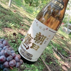 スチューベン家庭用2箱(4キロ)日本酒のアテに♡引き取り限定価格