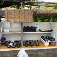 無人販売所　25日　メダカ