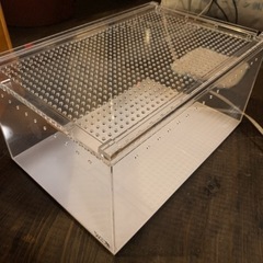 レプタイルボックス　2個　爬虫類ゲージ　超美品の画像