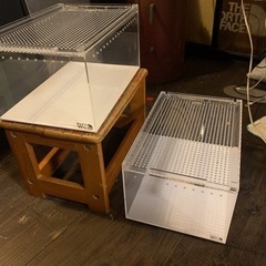 レプタイルボックス　2個　爬虫類ゲージ　超美品の画像