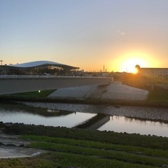 朝の散歩　友達