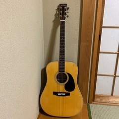 Cats Eyes  CE-250 アコースティックギター